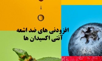 افزودنی‌های ضداشعه؟ آیا آنتی‌اکسیدان‌های غذایی می‌توانند از ما در برابر آلودگی محیطی محافظت کنند؟