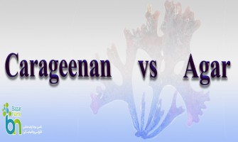تفاوت های کاراگینان و آگار