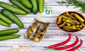 نگهدارنده‌های خیارشور