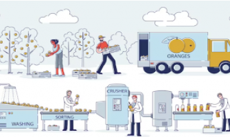 راه اندازی کارخانه تولید مواد غذایی در ایران - صفر تا صد