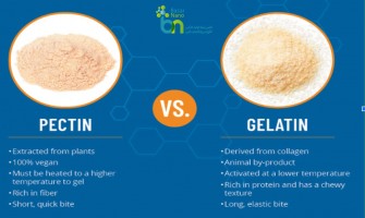 تفاوت های پکتین و ژلاتین