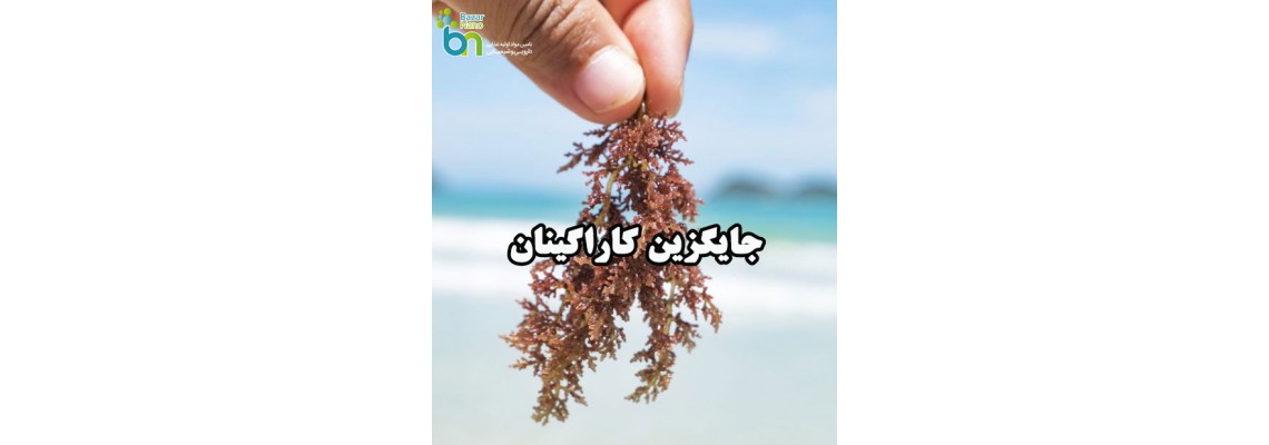 جایگزین کاراگینان