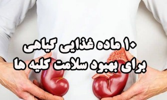 ۱۰ ماده غذایی گیاهی برای بهبود سلامت کلیه ها