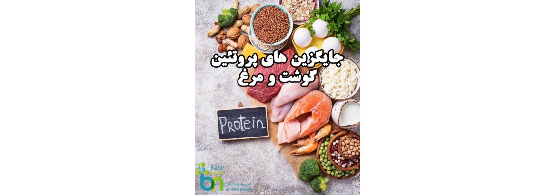 جایگزین های پروتئین گوشت و مرغ