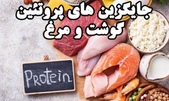 جایگزین های پروتئین گوشت و مرغ