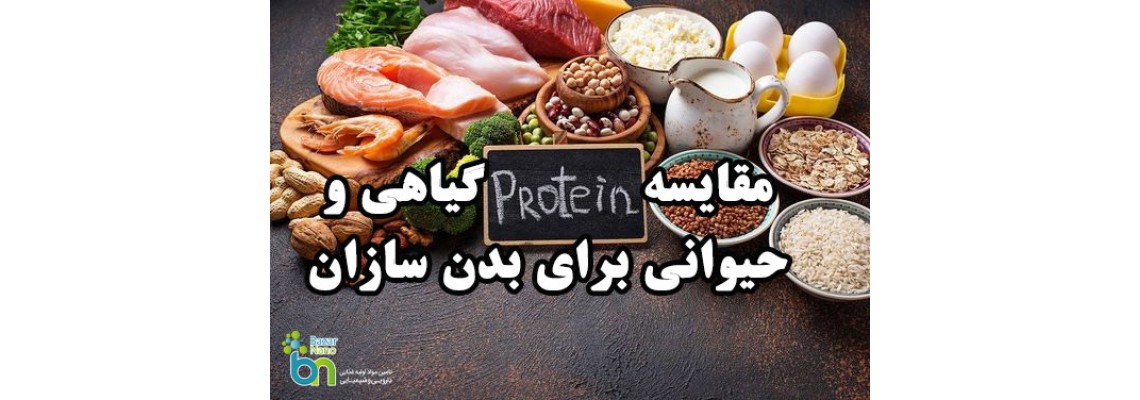 مقایسه پروتئین گیاهی و حیوانی برای بدن سازان