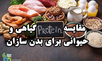 مقایسه پروتئین گیاهی و حیوانی برای بدن سازان