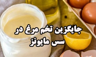 جایگزین تخم مرغ در سس مایونز