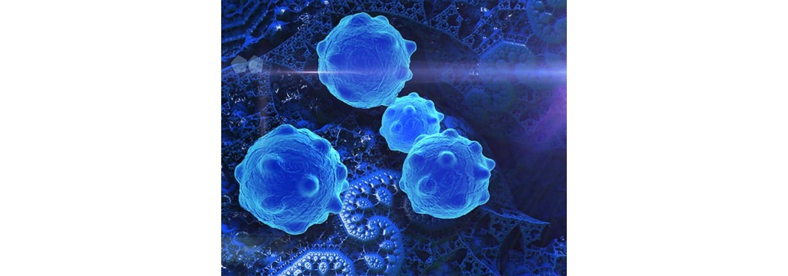 خودکشی سلول‌های سرطانی با نانوذرات مغناطیسی