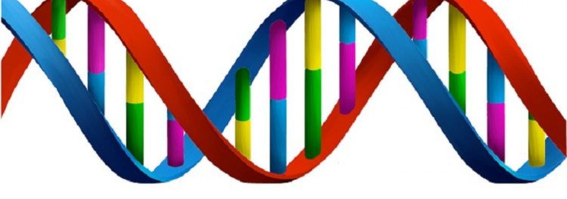 تغییر فاز نانومواد به کمک رشته‌های DNA