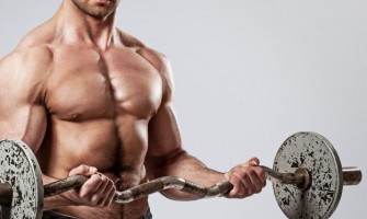 ال – کارنیتین