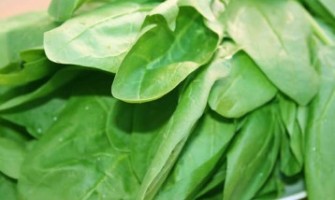 آهن بیشتر با این منابع گیاهی و حیوانی