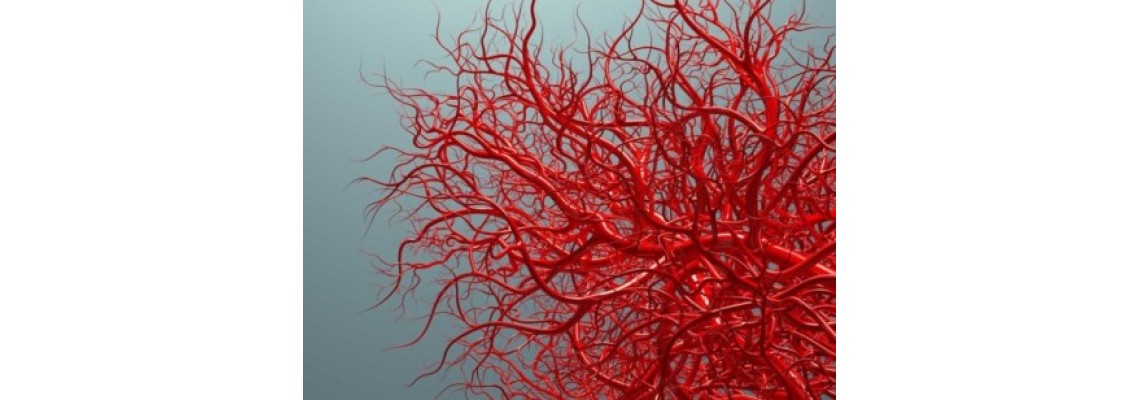 بند آوردن سریع خونریزیهای داخلی با نانو ذرات