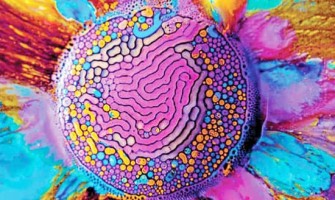 جذب سطحی رنگ‌ها توسط نانومواد