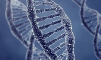 ساخت نانوقفس مبتنی بر دی‌ان‌ای