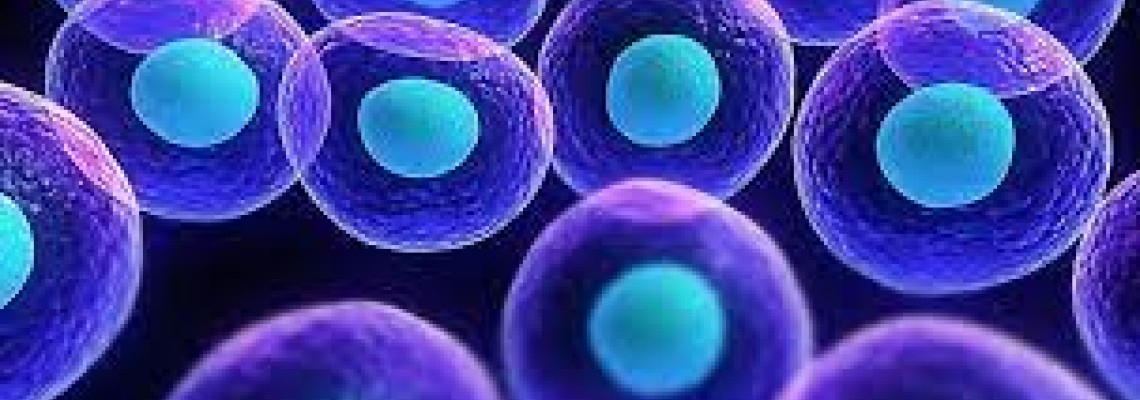 از بین بردن سلول‌های سرطانی با نانو ذرات مغناطیسی