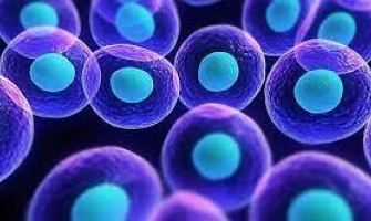 از بین بردن سلول‌های سرطانی با نانو ذرات مغناطیسی