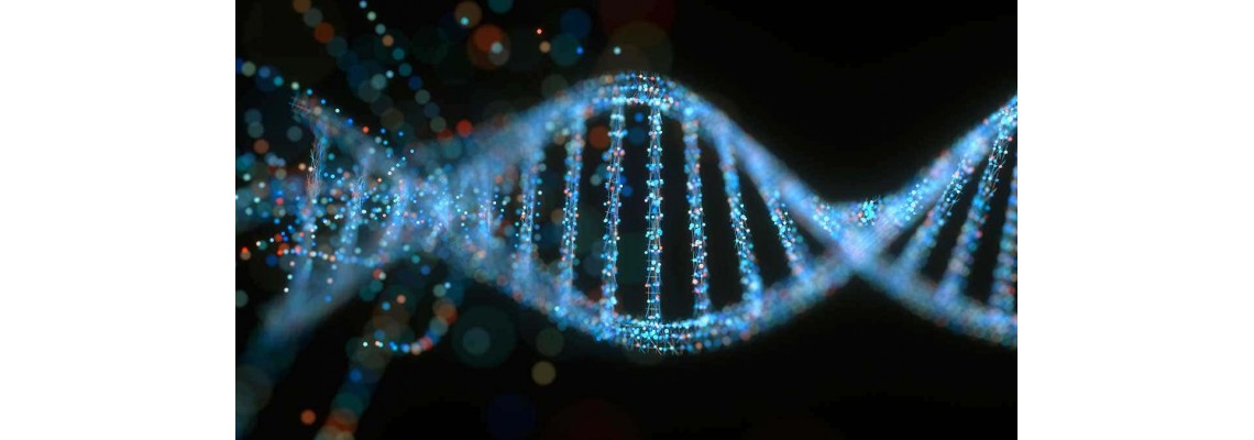 ساخت نانولوله‌های DNA با روشی ارزان