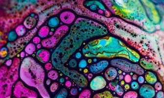 این عضو از بدن ذرات نانو رنگی دارند