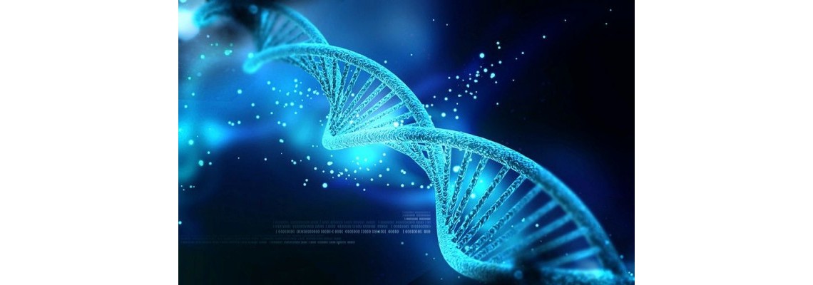 نانوروباتی با قابلیت حرکت روی بستری از جنس DNA