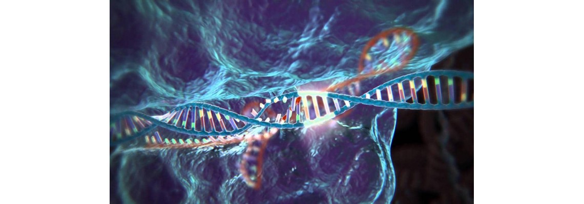 ادغام فناوری نانوذرات و RNA جهت مصارف پزشکی