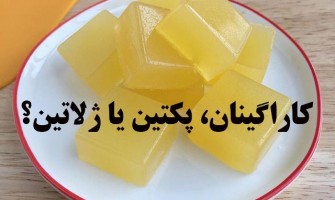 کاراگینان، پکتین، ژلاتین: مقایسه و کاربرد ژل‌کننده‌ها در صنایع غذایی