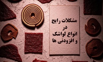 مشکلات رایج در تولید انواع لواشک+ افزودنی های آن