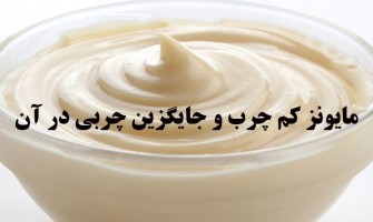 مایونز کم چرب و جایگزین های چربی  در آن