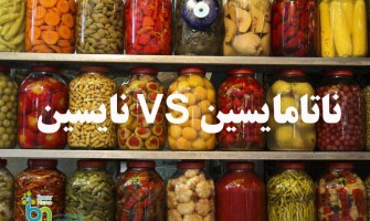 تفاوت نایسین و ناتامایسین به عنوان نگهدارنده غذایی