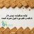تولید بیسکویت سبوس‌دار با بافت نرم و طعم قابل قبول مصرف‌کننده