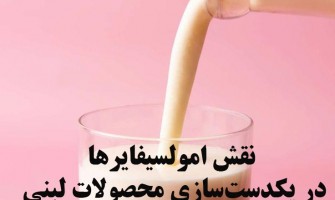 نقش امولسیفایرها در یکدست‌سازی محصولات لبنی