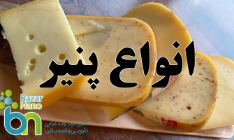 انواع پنیر در جهان با عکس آن ها