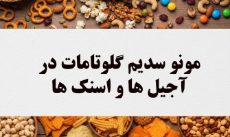 کاربرد مونوسدیم گلوتامات در اجیل ها و اسنک