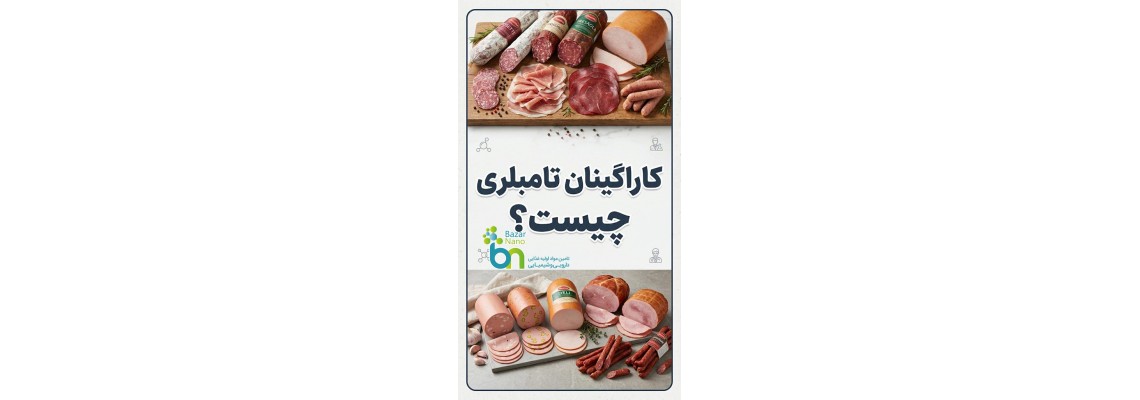 کاراگینان تامبلری چیست