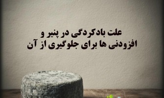 علت بادکردگی پنیر چیست