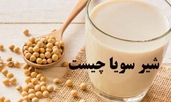 شیر سویا چیست؟