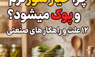 چرا خیارشور نرم و پوک می‌شود؟ بررسی ۱۲ عامل پنهان در تولید صنعتی + راهکار حفظ تردی