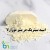 اسید سیتریک در پنیر موزارلا