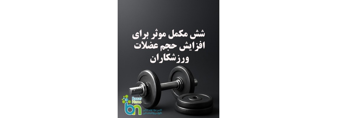 6 مکمل موثر برای افزایش حجم عضلات ورزشکاران؛ انتخابی هوشمندانه برای رشد سریعتر 6 مکمل موثر برای افزایش حجم عضلات ورزشکاران؛ انتخابی هوشمندانه برای رشد سریعتر