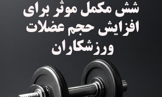 6 مکمل موثر برای افزایش حجم عضلات ورزشکاران؛ انتخابی هوشمندانه برای رشد سریع‌تر