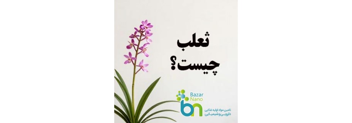 ثعلب چیست ثعلب چیست